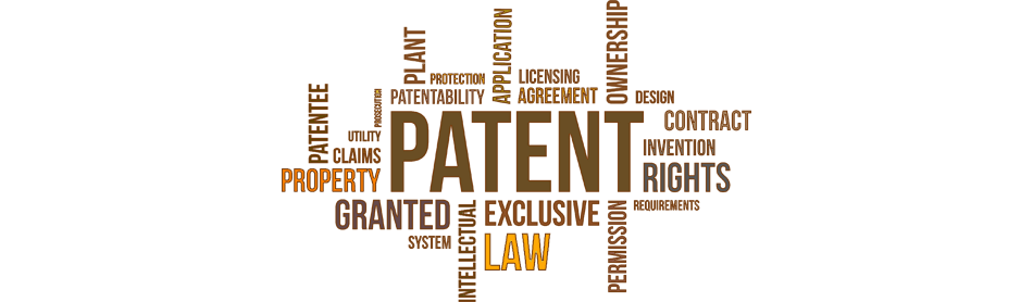 Patent dispute law firm for NRI in India